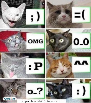 :rotfl:  :rotfl:  :rotfl:  :rotfl:  :rotfl: funny