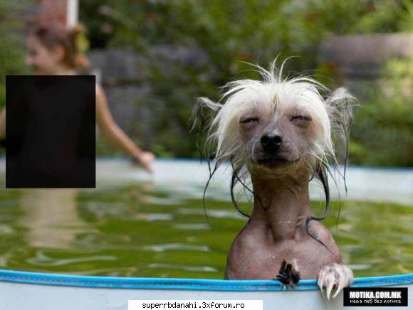 haideti ca mai poon sa nu ziceti ca nam haz:)) :rotfl:  :rotfl:  :rotfl:  :rotfl: funny