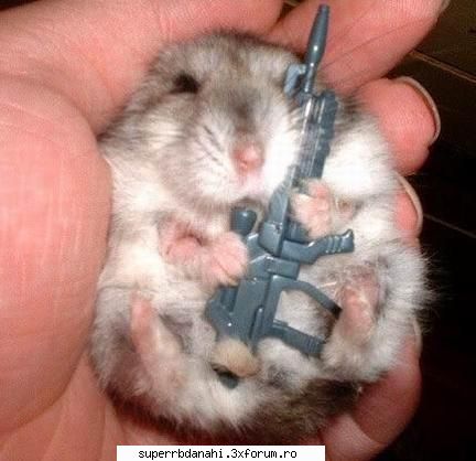Funny - hamster with gun Totally spie - Diistractie la maxim