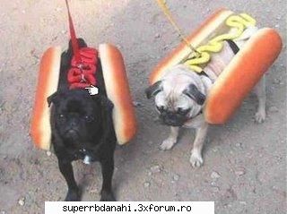 funny &nbsp;