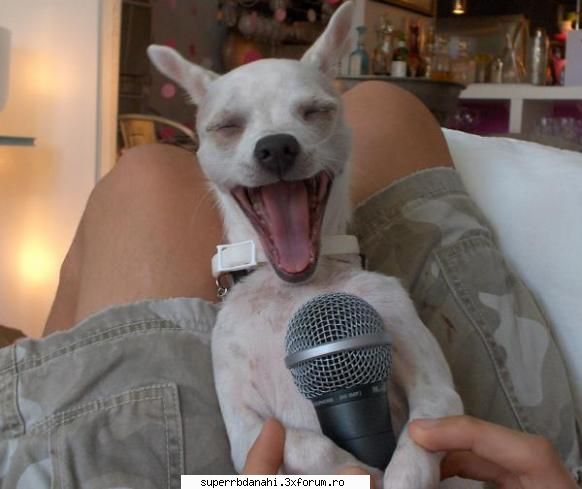funny s-a mai una care imi place)